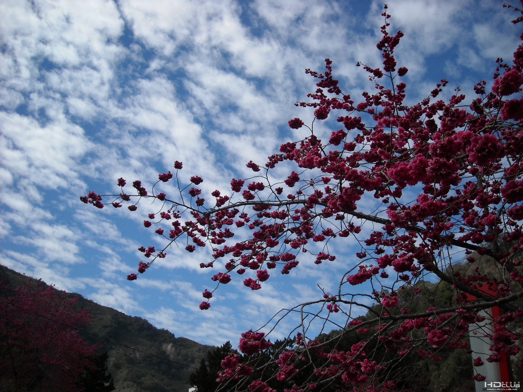 盧山温泉.jpg