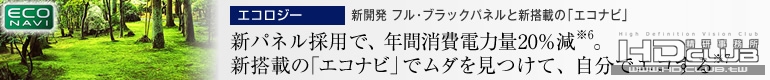 p_top_features05_o.jpg
