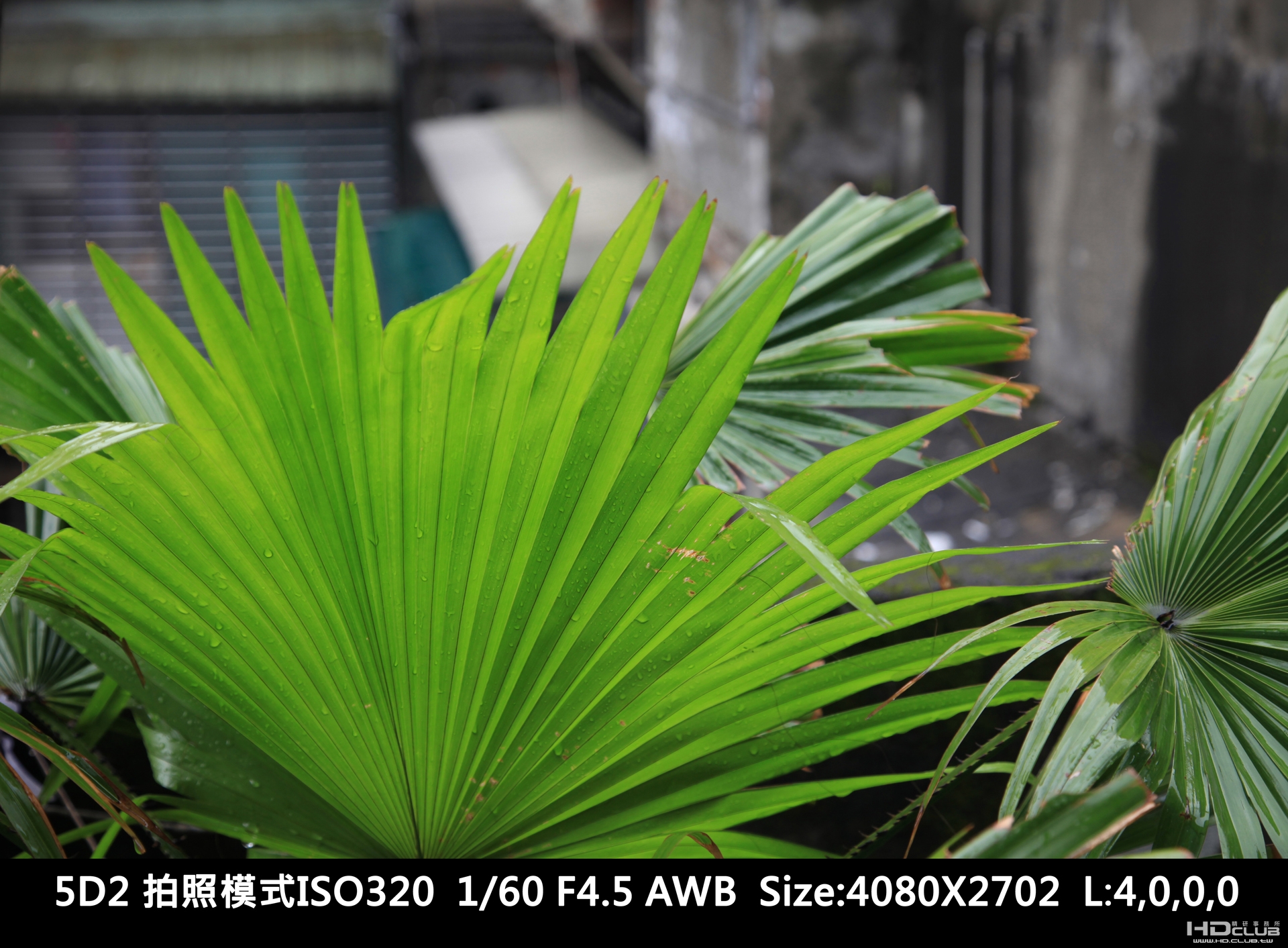 IMG_1042_1920.jpg