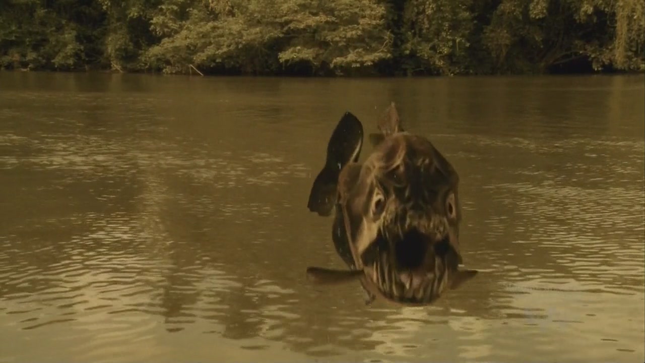 Mega Piranha08.JPG