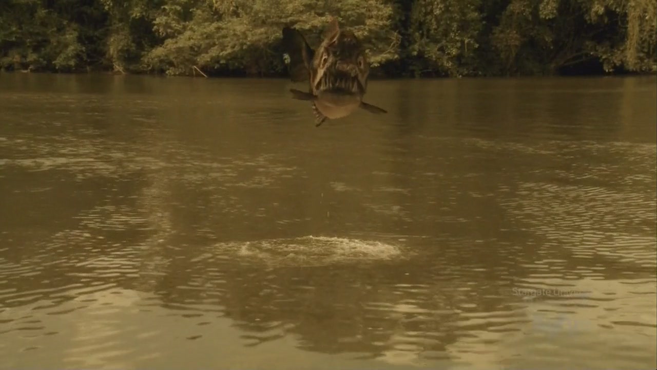 Mega Piranha07.JPG