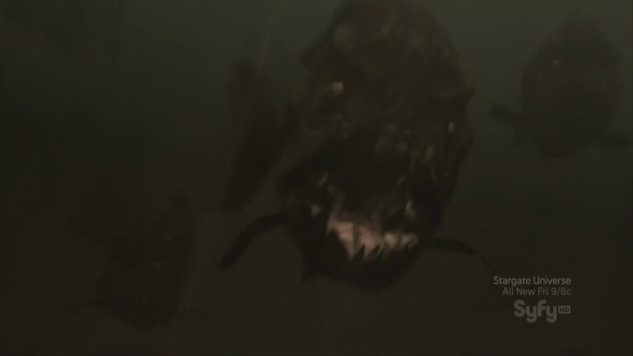 Mega Piranha05.JPG