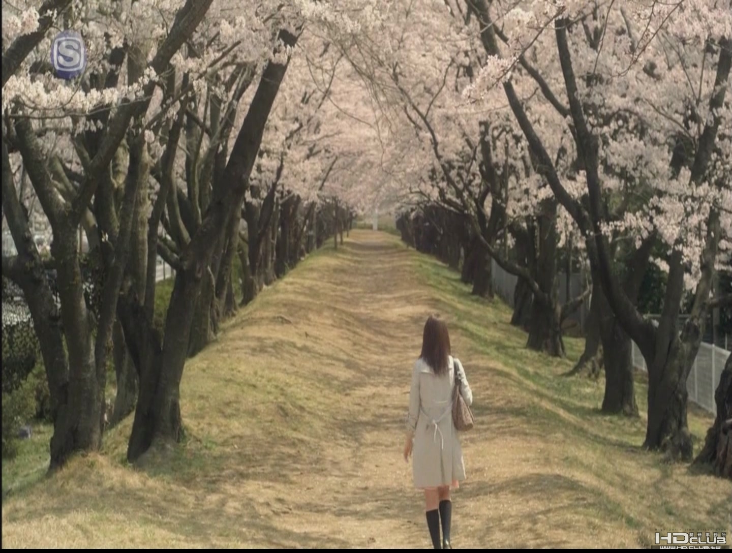 [PV] 生物股长 - 時をかける少女 (1440x1080 MPEG2 SSTV HD)[(007448)23-27-47].JPG