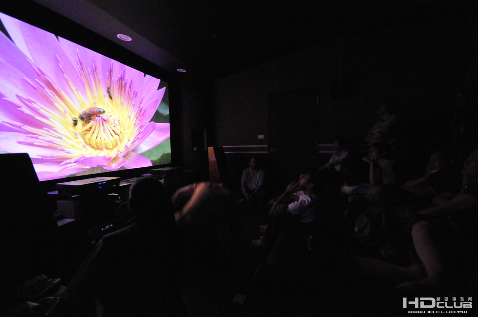 D30_2767.JPG