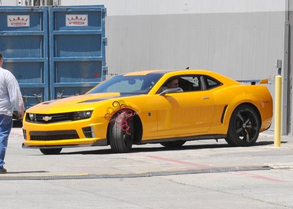 TF3BumblebeeFox1.jpg