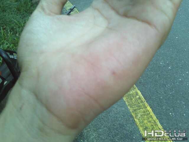 IMG0199A.jpg