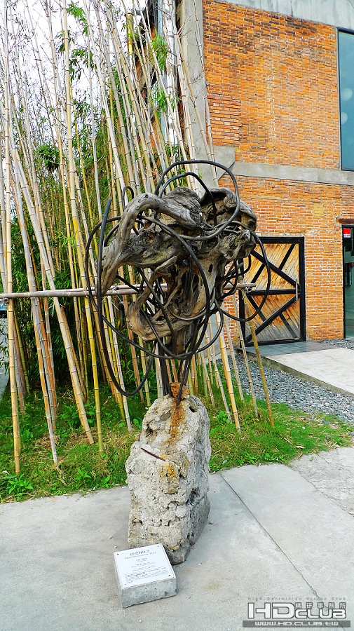 P1000417.jpg