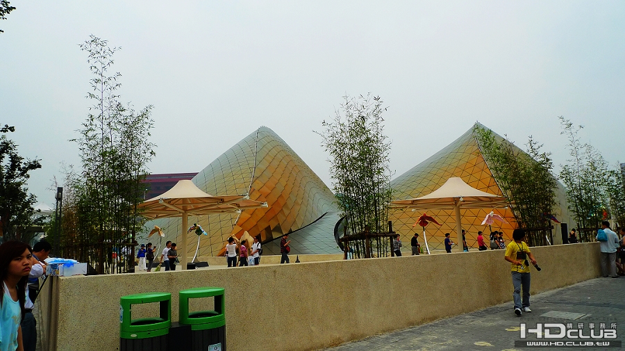 P1010123.jpg