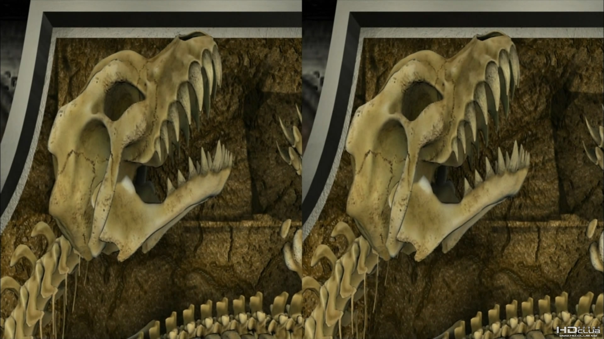 3D恐龍博物館_H.264.m2ts_snapshot_00.02_[2010.06.29_15.11.18].jpg