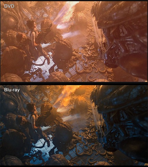 110935.24286108.jpg