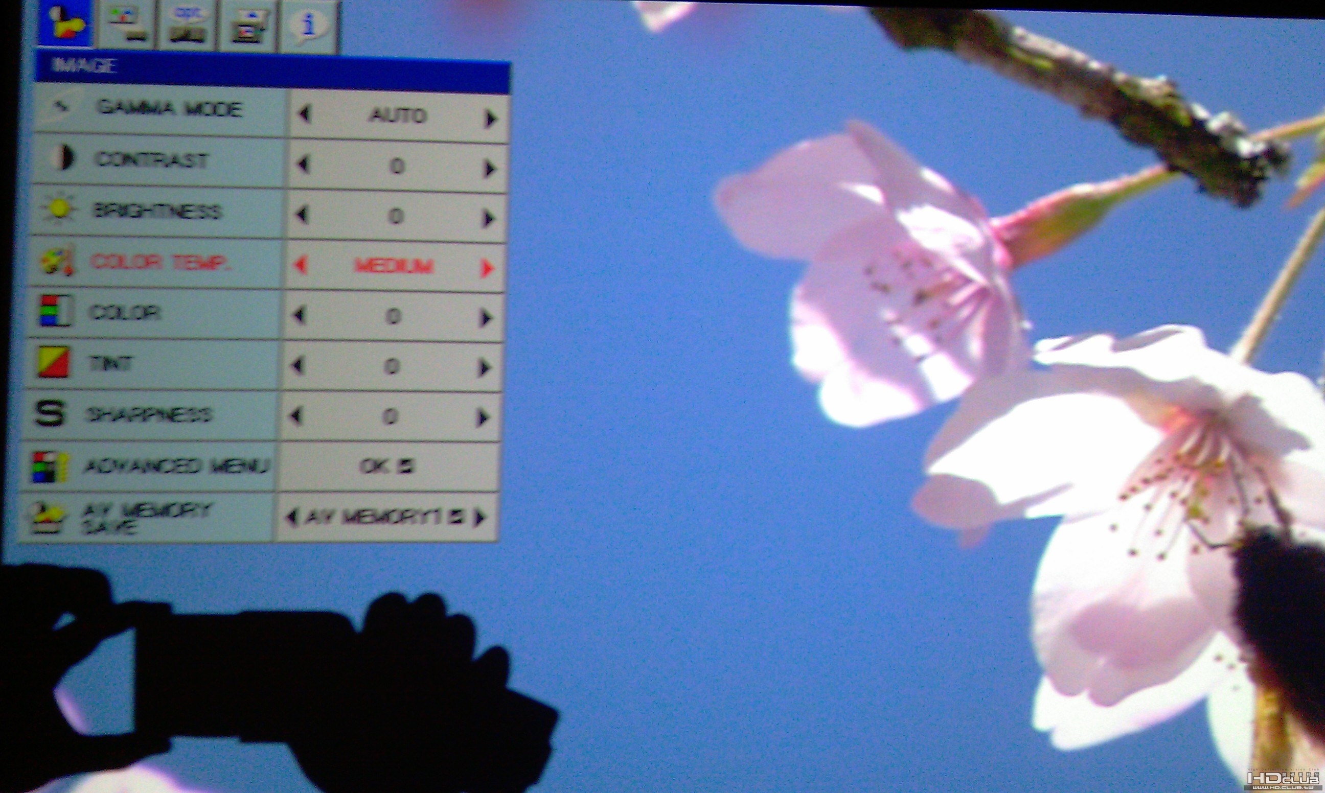 IMAG0711.jpg