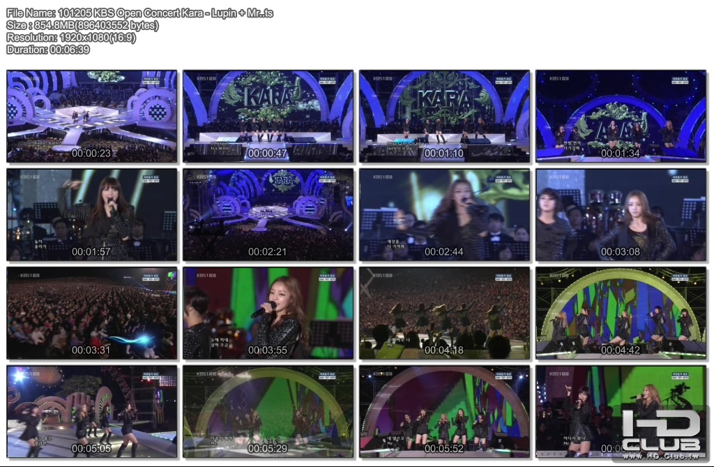 101205 KBS Open Concert Kara - Lupin   Mr..ts.jpg