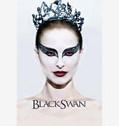 blackswan1.jpg