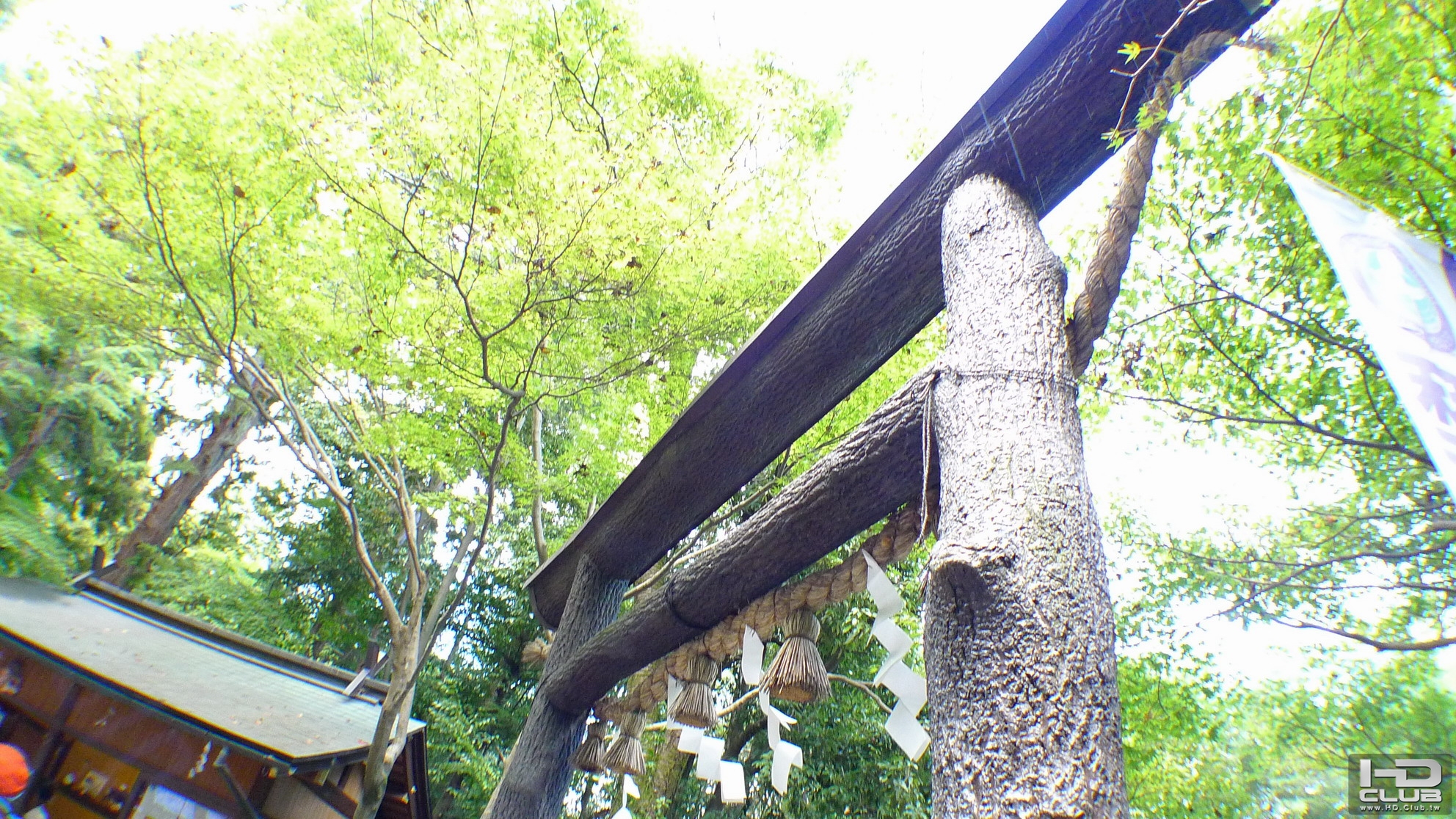 野宮神社的鳥居