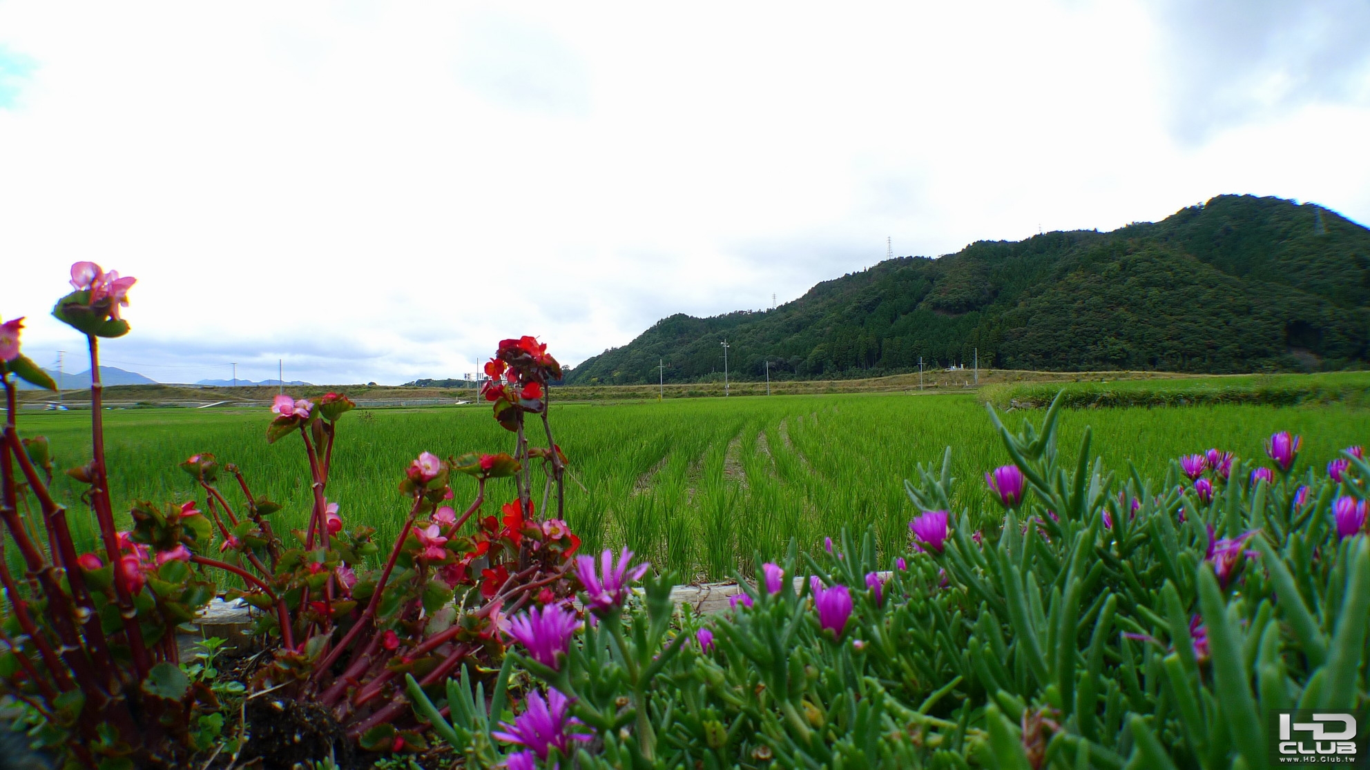 鄉間的風景