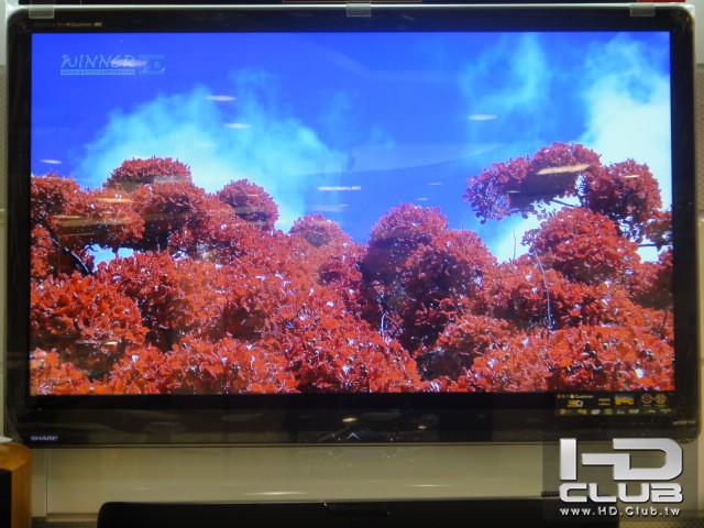 驚艷福爾摩莎 花草篇 (5).JPG