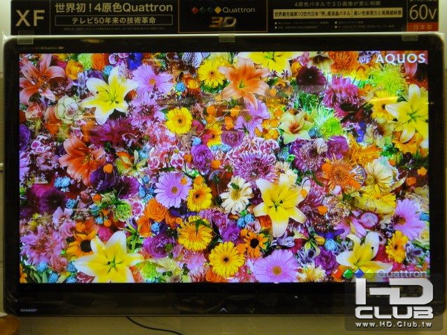 DSC00280.JPG