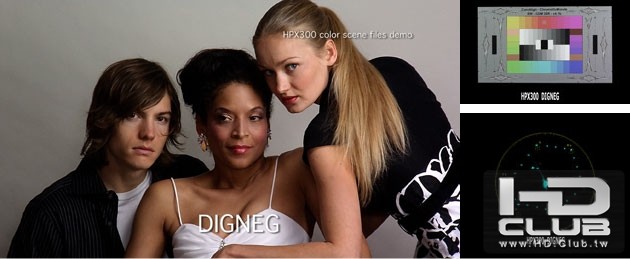DIGNEG.jpg
