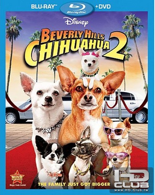 Beverly-Hills-Chihuahua-2-.jpg