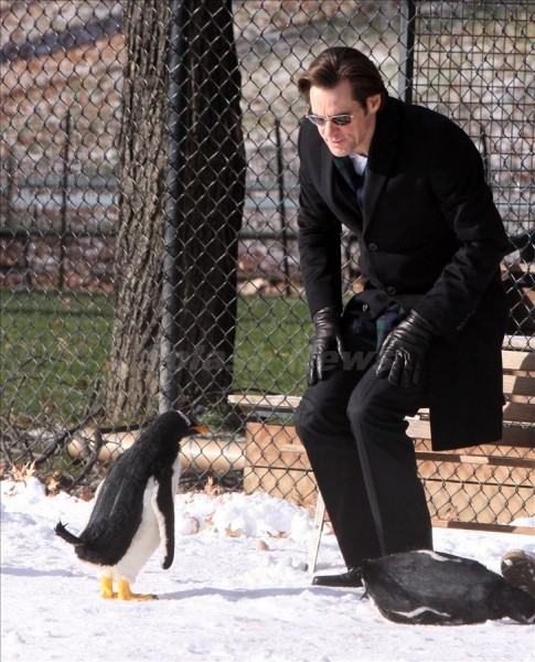 mr_poppers_penguins_image_set_photo_jim_carrey_02-485x600.jpg