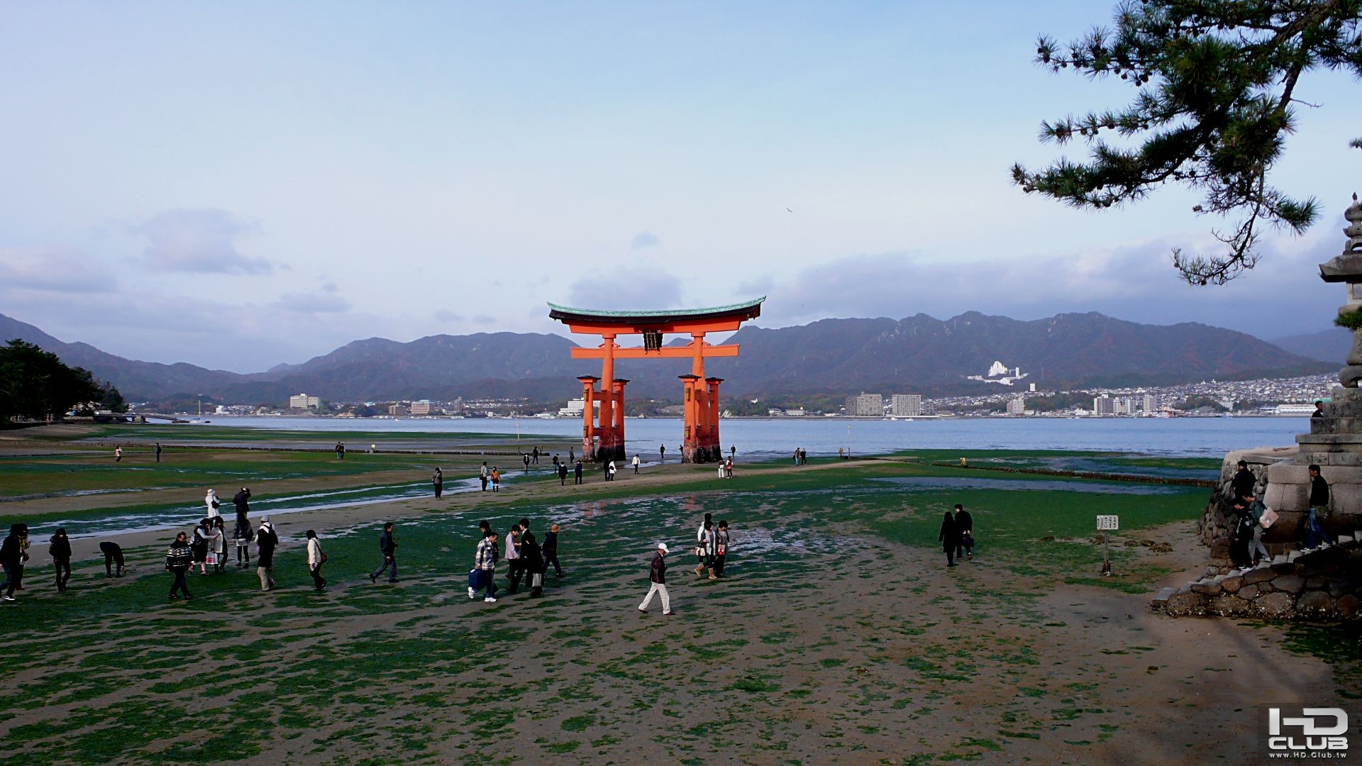 廣島宮島 (2).JPG