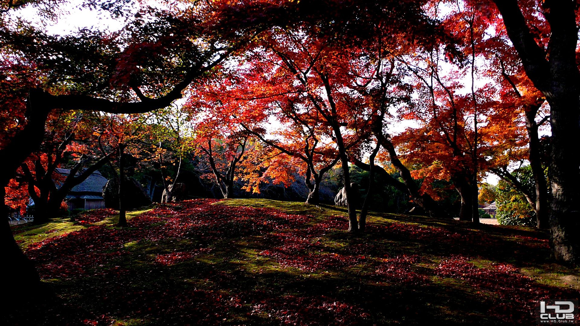 岡山後樂園 (1).JPG