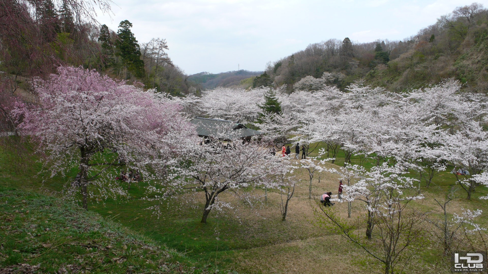 卯辰山公園