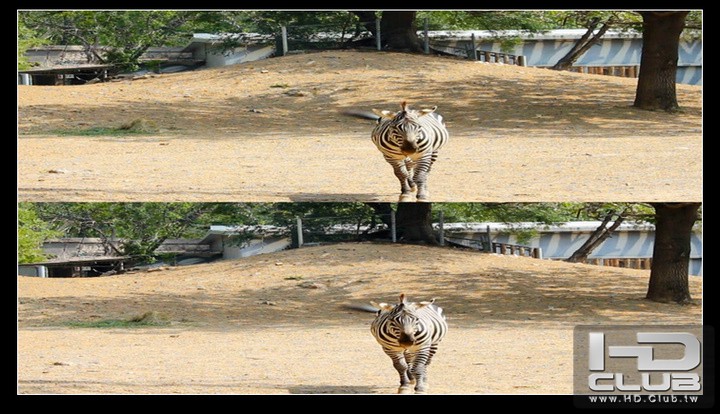 zoo.jpg