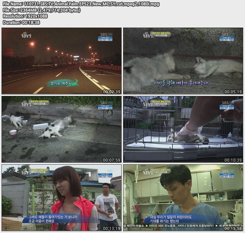 Kara 韓勝妍 - MC cut 2 ver 110731 SBS Animal Falm 動物農場 EP523.jpg
