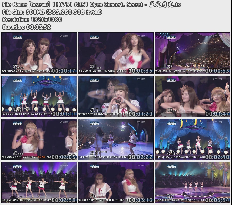 [bearwu] 110731 KBS1 Open Concert. Secret - 星光月光.jpg