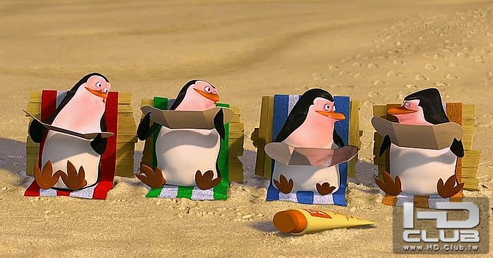 penguins.jpg