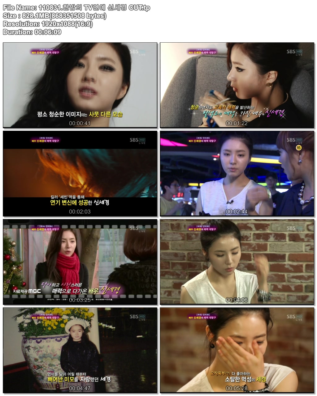 申世京 - 游擊約會 110831 SBS 深夜TV演藝.jpg