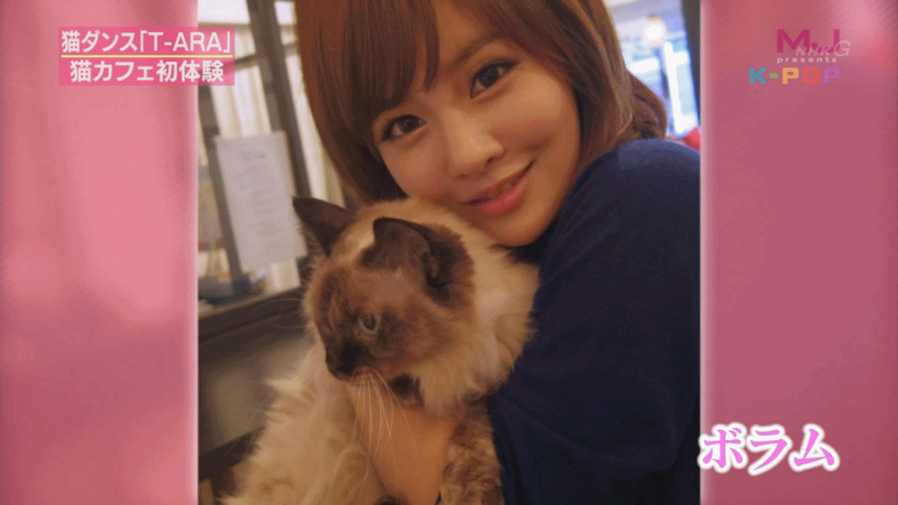 T-ara at MJ presents.gif