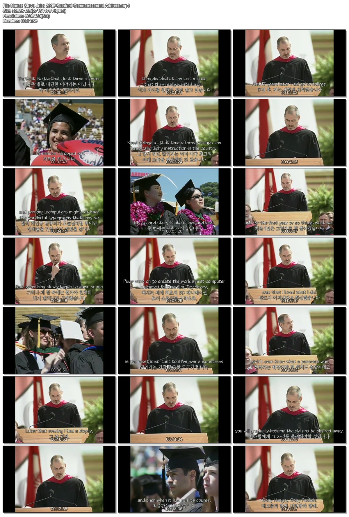 Steve Jobs 2005 Stanford Commencement Address.mp4.jpg