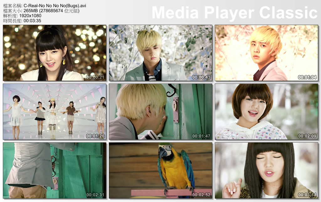 C-Real-No No No No(Bugs).jpg