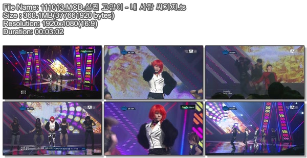 111013.MCD.살찐 고양이 - 내 사랑 싸가지.jpg