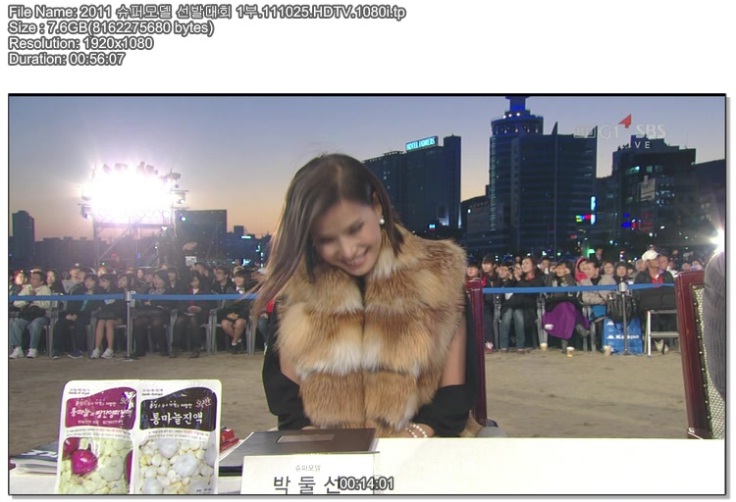 2011 Super Model.jpg