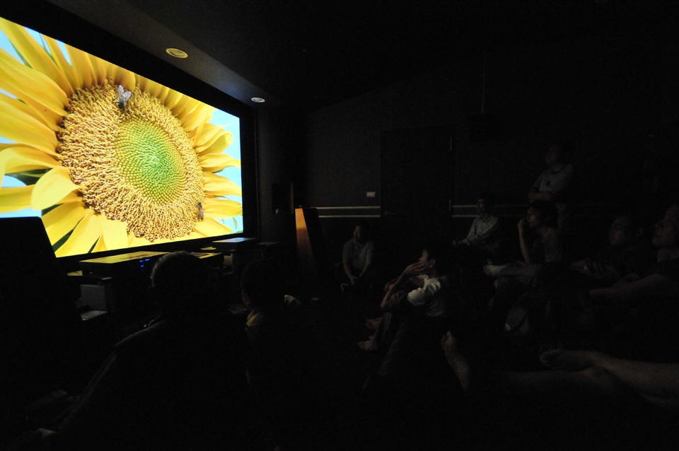 D30_2747.JPG