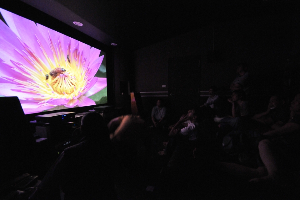 D30_2767.JPG