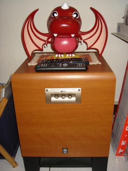 YST800.JPG