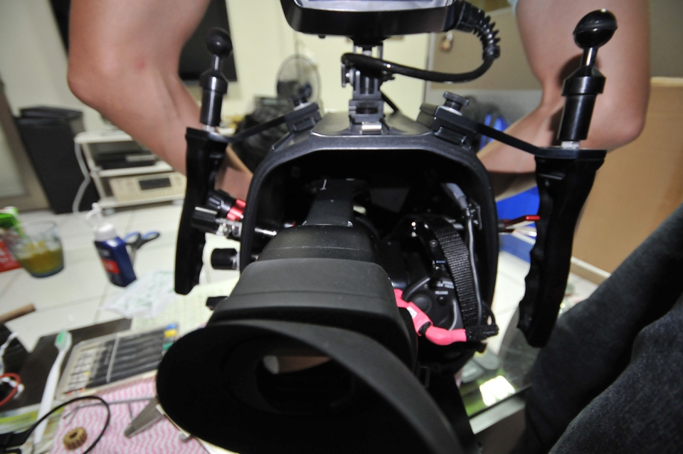 D30_2529.JPG