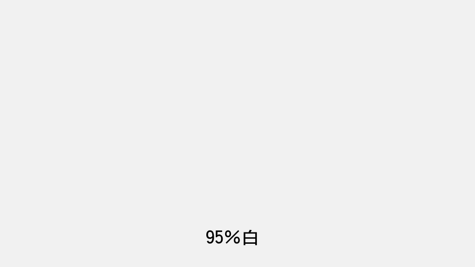95白.jpg