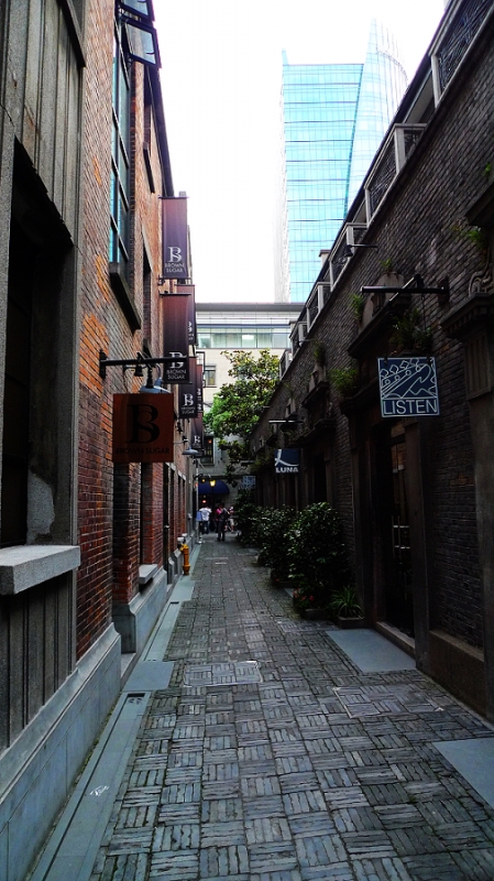 P1000455.jpg