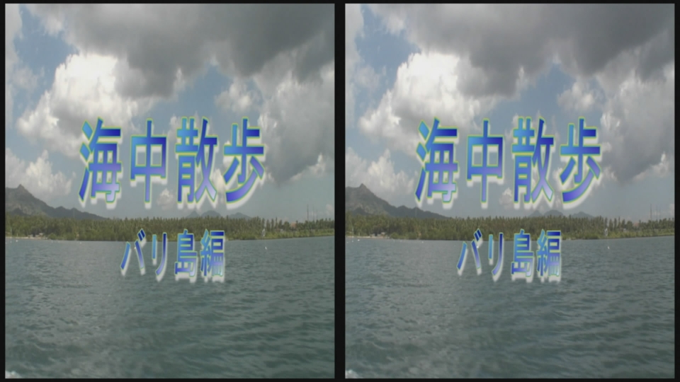 00001.m2ts_snapshot_00.06_[2010.06.30_17.55.16].jpg