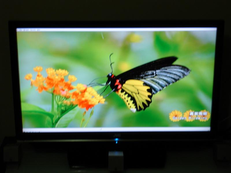 DSC00032_調整大小.JPG