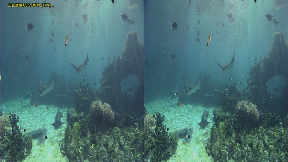 3D_Australia_edit_ver2_0309[04-08-27].jpg