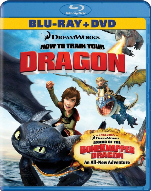 [How.to.Train.Your.Dragon]b.jpg