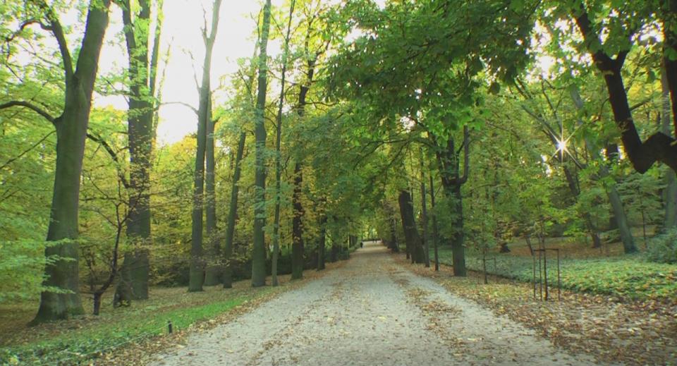 LAZIENKI Park HDV 1080i[(002067)23-32-52].JPG