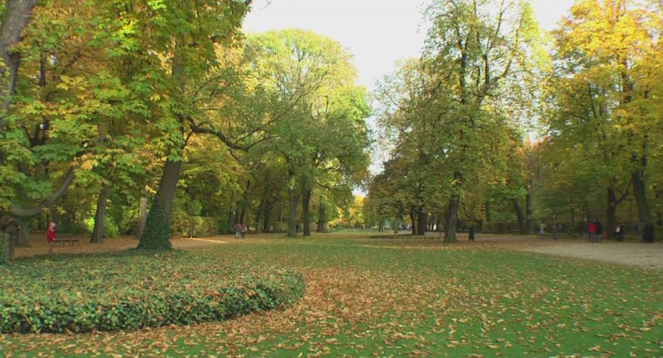 LAZIENKI Park HDV 1080i[(003095)23-33-09].JPG