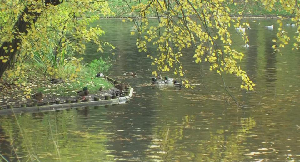 LAZIENKI Park HDV 1080i[(006726)23-34-13].JPG